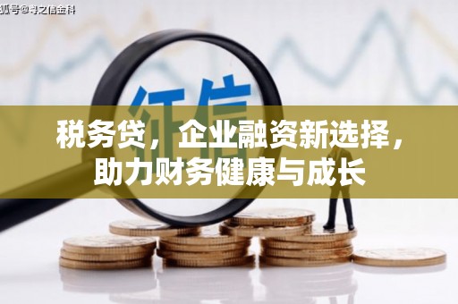 长兴税务贷，企业融资新选择，助力财务健康与成长