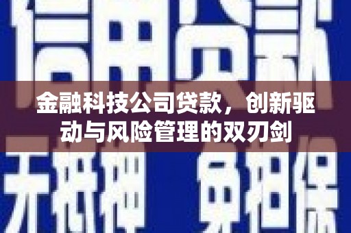 长兴金融科技公司贷款，创新驱动与风险管理的双刃剑
